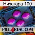 Низагара 100 04